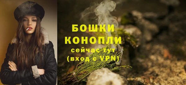 гашик Волосово