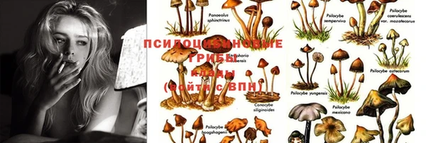 первитин Волоколамск