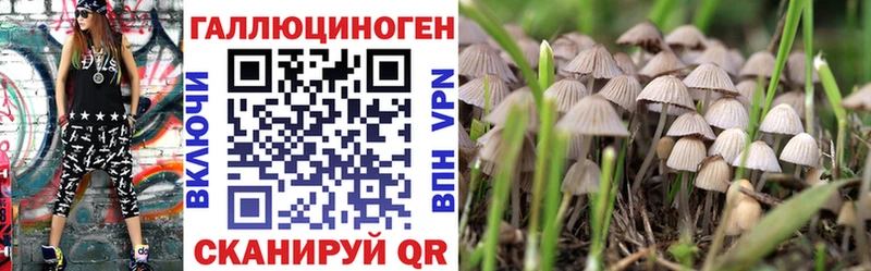 Псилоцибиновые грибы Psilocybe  нарко площадка телеграм  Череповец 